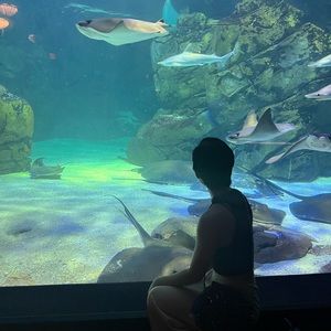 Meet your Posher, Thai